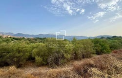 Campanet, Balearic Islands 07310