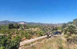 Pego, Valencian Community