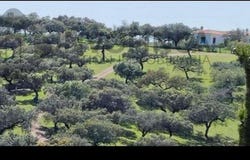 Badajoz, Extremadura