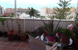 El Ejido, Andalusia 04700