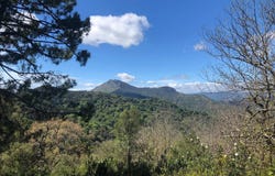Gaucín, Andalusia 29480
