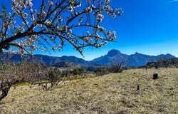 Tàrbena, Valencia 03518