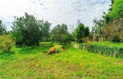 Calvià, Balearic Islands 07160