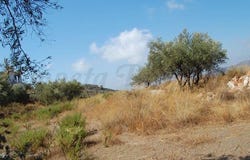 Cómpeta, Andalusia 29754