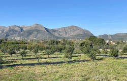 Benidoleig, Valencian Community 03759
