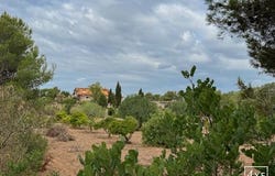 Manacor, Baleares 07550