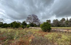 Pedreguer, Valencian Community 03750
