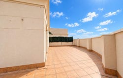Elche, Valencian Community 03203