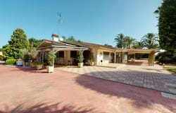 Elche, Valencian Community 03290