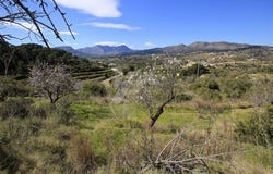 Benissa, Alicante/alacant 03720