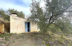 Canillas de Aceituno, Andalusia 29716