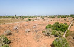 Manacor, Balearic Islands 07500