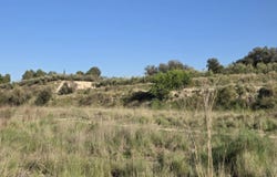 Montaverner, Valencian Community 46892