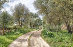 Llucmajor, Balearic Islands 07620