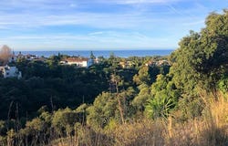 Malaga, Andalucía 29604