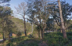 Begur, Catalonia 17255