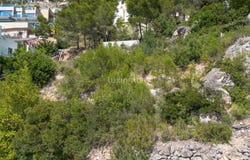 Altea, Valencian Community 03590