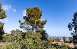 Cabrils, Catalonia 08348