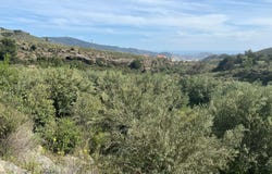 Vélez de Benaudalla, Andalusia