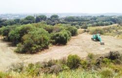 Sotogrande, Andalusia 11310