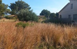Roda de Barà, Catalonia