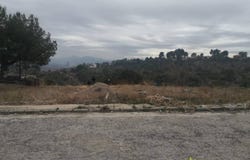 Alberic, Valencian Community 46260