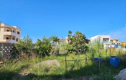 Miramar, Valencian Community 46711