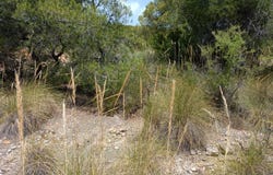 Vilamarxant, Valencian Community