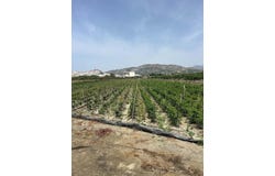 Salobreña, Andalusia