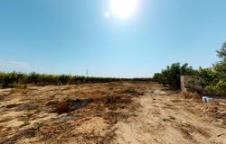 Albatera, Valencian Community 03340