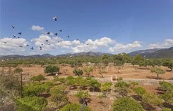 Bunyola, Balearic Islands 07110
