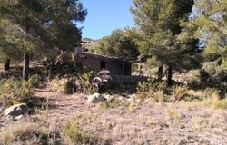 Jalón, Valencian Community 03727