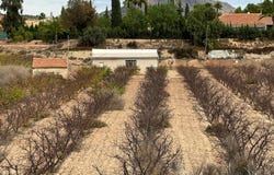 Monòver, Valencia 03640