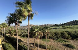 Mijas Costa, Andalusia 29649