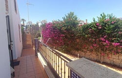 Algorfa, Valencian Community 03169