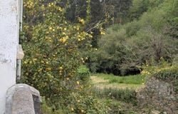 Cudillero, Asturias 33159