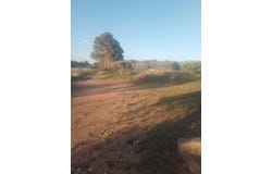 Ginestar, Catalonia 43748