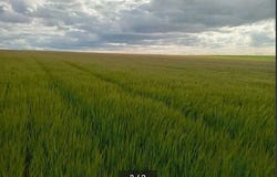 Badajoz, Extremadura