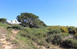 Sotogrande, Andalusia 11310