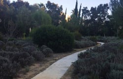 Sotogrande, Andalusia 11310