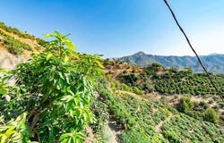 Torrox, Andalusia 29770