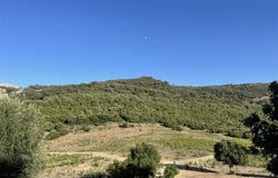 Cádiz, Andalusia 11351
