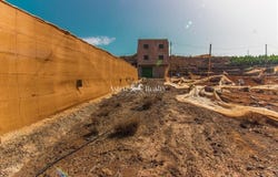 Adeje, Canary Islands 38678