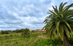 Tacoronte, Canary Islands