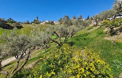 Cómpeta, Andalusia 29754