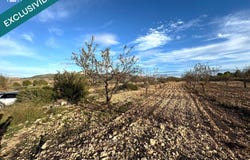 Monovar, Valencian Community 03640
