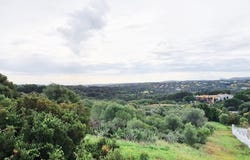 Sotogrande, Andalusia 11310