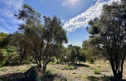 Sotogrande, San Roque, Cadiz