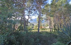 Alcalalí, Valencia 03728