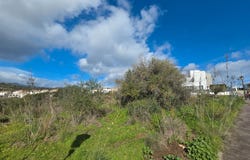 Estepona, Andalusia 29689